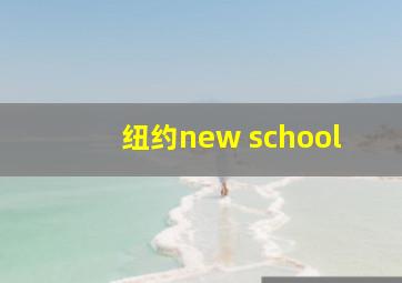 纽约new school